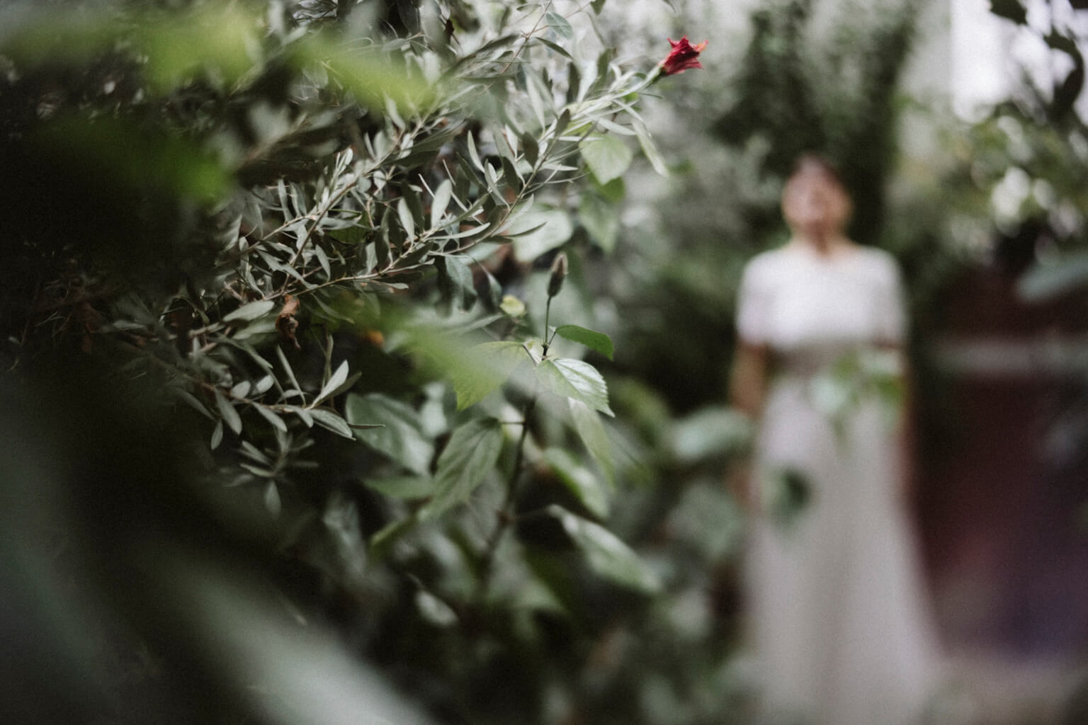 Balint Sara Botanica menyasszonyi ruha kollekcio 2024 Fresia esküvői ruha uszályos, selyem muszlin szoknyaval